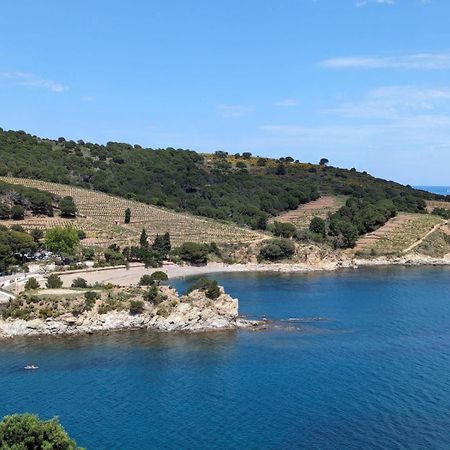 Grand Studio Avec Vue Sur La Mer Et Parking Banyuls-sur-Mer Exterior foto